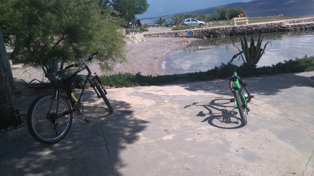 Apartment Savic Starigrad Paklenica Buitenkant foto