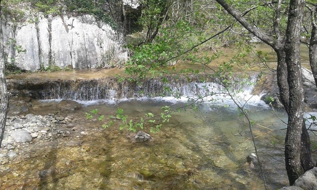 Apartment Savic Starigrad Paklenica Buitenkant foto
